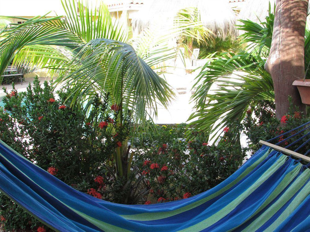 Aruba Tropic Apartments Noord Exteriör bild